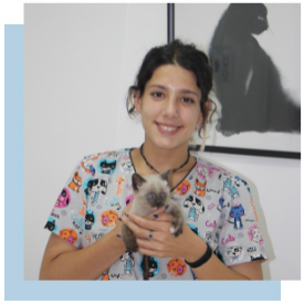 Ruth_Equip Arca