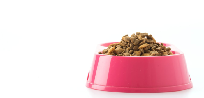 L'Arca Clínica Veterinària Lleida