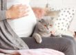 Portada_Toxoplasmosis en gatos: ¿Realmente afecta al embarazo?